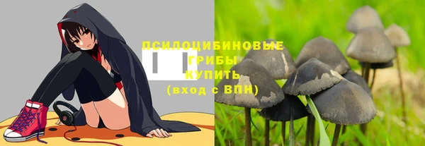 метадон Армянск