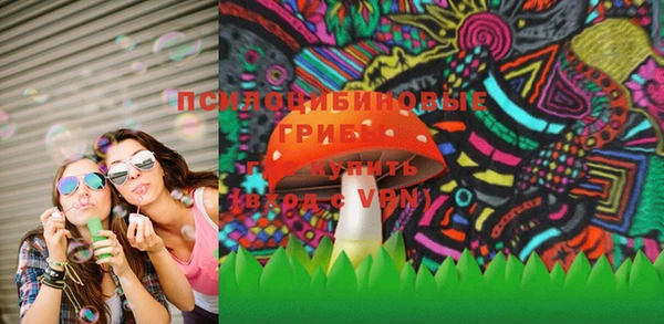 мдпв Балахна