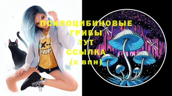 бошки Аркадак