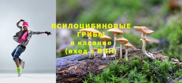 дживик Баксан