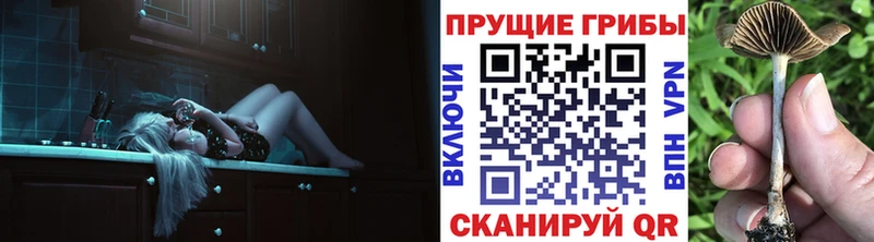 Псилоцибиновые грибы мицелий  цена   Сосновый Бор 